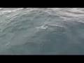 Coral Sea 7/12-13/08