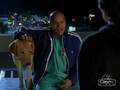 Scrubs-Mountain