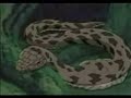 Naruto Weird Al Yankovic- Jurassic Park.