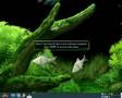 low vram?