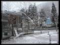 Chanson De Noel - Le Sentier De Neige - Les Classels