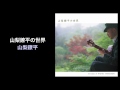 山梨鐐平の世界 - 山梨鐐平 (Ryohei Yamanashi, COME TRUE RECORDS) 山梨鐐平