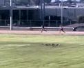 fatman relay..
