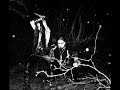 black metal norvegiens

vardalv - drums
grimnisse - the rest
lord imalas - live bass
godhate - live guitars

http://www.throneofkatarsis.com
http://www.myspace.com/throneofkatarsis