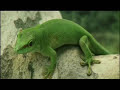 We Were Soldiers-Epic Video We Were Soldiers-Epic Video
