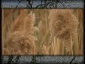 A Moment Alone - Mark Rownd
