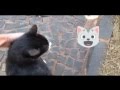 Imagem do vídeo