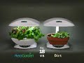 AeroGarden VS Dirt