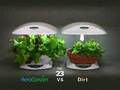 AeroGarden-VS-Dirt