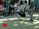 Brazilian Dogs Celebrate Rock and Roll