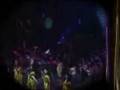videos de white buffalo-BUFALO BLANCO