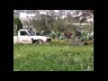 Israeli Military Shoot Gaza Farmer