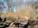 our hero fart squart goes into the woods looking for his lost soul, until he encounters a beast that will change his life