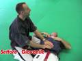 videos de F.I.Y.B. Yoseikan budo Esercizi Educativi DVD