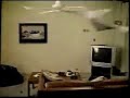 funny flying cat