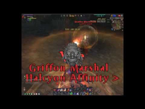 Warhammer Sacrifice Melee Healer DoK Chpt. 1