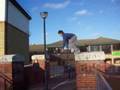 Peterborough Parkour Training