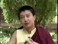 Eco Dharma