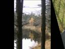 decouvrir la ville de la bresse et ses environs en photo.wmv