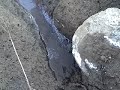 Divide Creek Seep 2008 -- biofilm and bacteria in ponded area