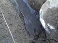 videos de Divide Creek Seep 2008 -- biofilm and bacteria in ponded area