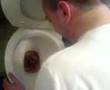 Hall of Fame -Spew!