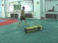 Sanda Sanshou