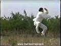 Chen Taijiquan from Chen Village (part 2) Chen Taijiquan from Chen Village (part 2)