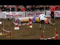 Marjo en Toes - Tommy Turk