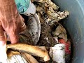 [Video]