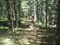 Raboseros en vallnord 1 Raboseros en vallnord 1