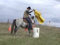2003 AQHA Gelding - Blackburns Zane Gray