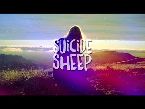 Kate Miller - Feed The Light