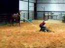 dolly-10yr-old-calf-horse-for-sale.html