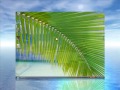 3D Desktop in Windows Vista