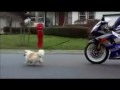 Reklama Suzuki Reklama Suzuki