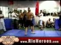 live-mma-vale-tudo