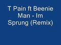 T Pain ft Beenie Man - Im Sprung (Remix)