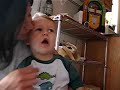 Singing Fool Singing Fool