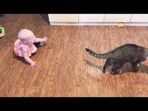 Baby and Cat Fun and Cute #2 - Funny Baby Video