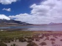 Lake Chungara The Highest Lake in the World