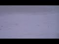 Severe Blizzard Feb 3-4 2012