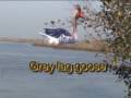  - MovieZen Video
