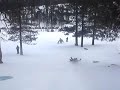 Sledding at Mt. Charleston