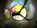 videos de Cool videos #1