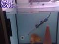 Bater�a de Discos