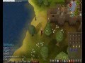Runescape melee Training