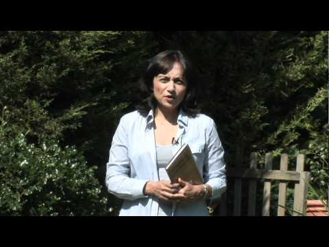 Menopause Confidential