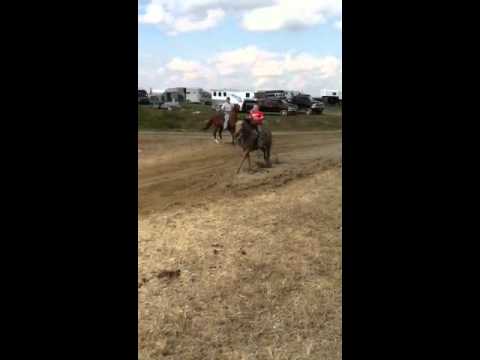 runners and riders