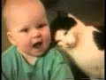 I gatti di germano